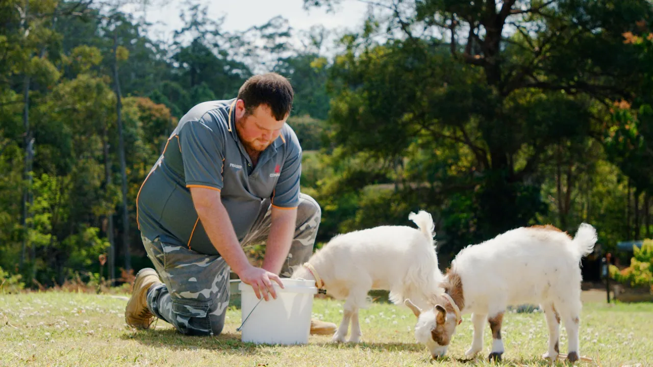 compass farm stay video thumbnail